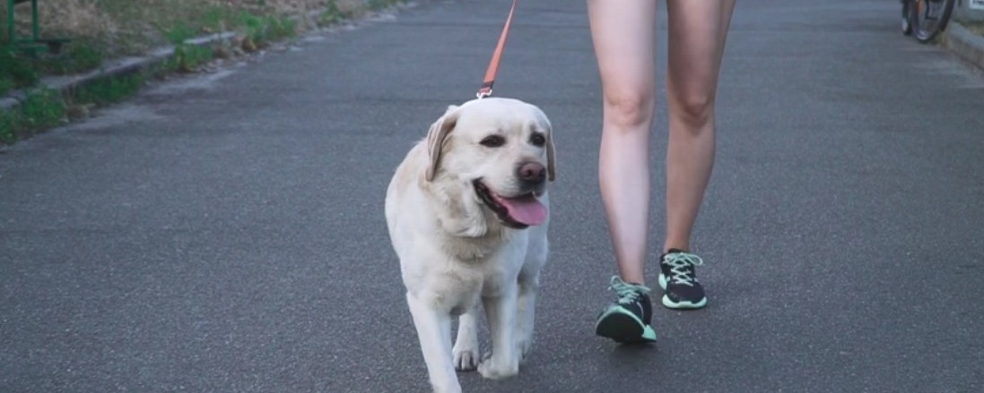 Walking as a Cultural Tapestry: Weaving Health, Tradition, and Community